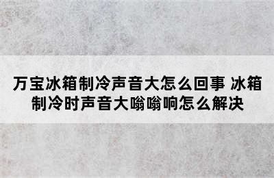 万宝冰箱制冷声音大怎么回事 冰箱制冷时声音大嗡嗡响怎么解决